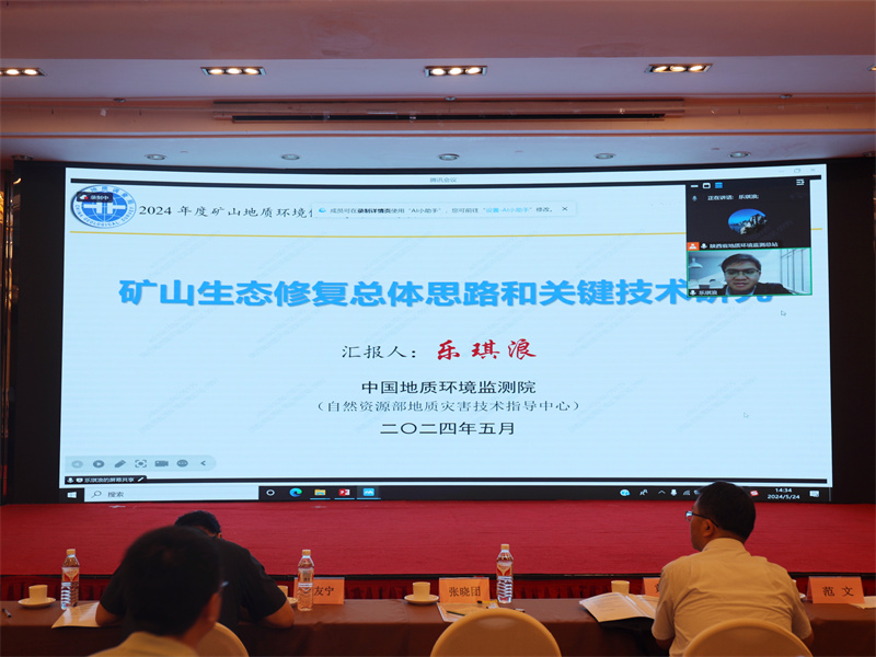 6.中国地质环境监测院正高级工程师 乐琪浪 学术报告.jpg