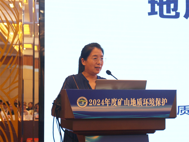 8.陕西省地质调查院地质环境监测总站正高级工程师 李永红 学术报告.jpg